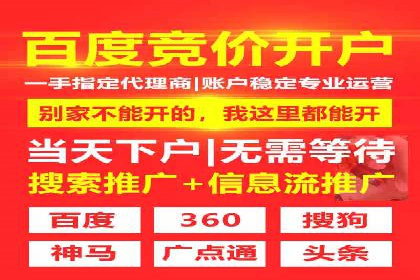 提升转化率：SEM广告投放的实战案例分享